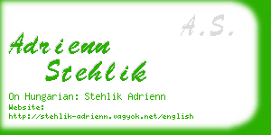 adrienn stehlik business card